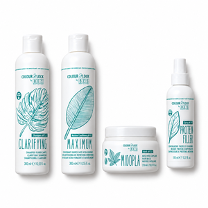 Набір Colour Lock — 300 ml + 300 ml + 250 ml + 150 ml
